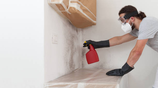 Professional Mold Remediation technician working in Hasbrouck Heights, NJ