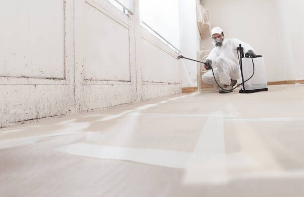 24/7 Emergency Mold Remediation experts in Hasbrouck Heights, NJ