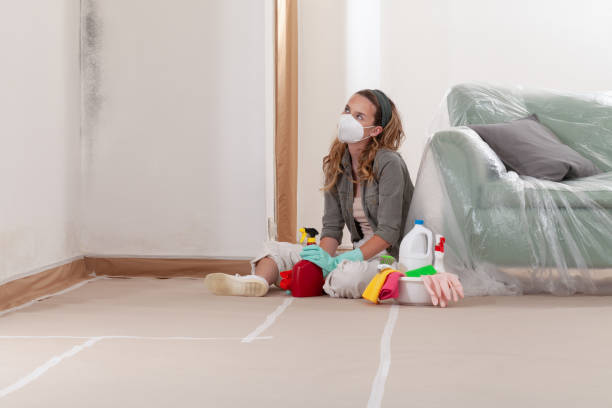 Reliable Mold Remediation contractor in Hasbrouck Heights, NJ by 24 Hour Mold Removal